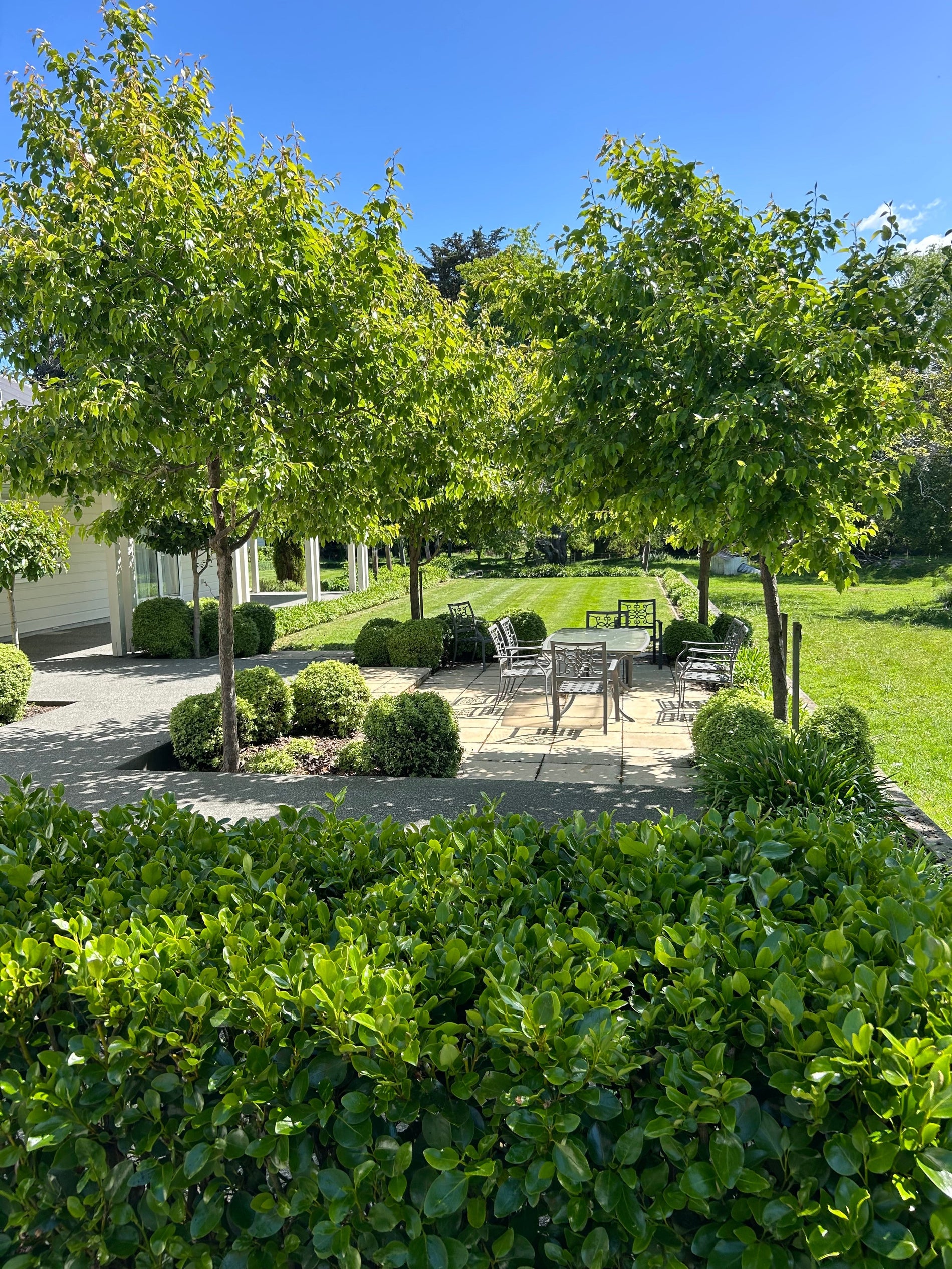 New Patio Development
