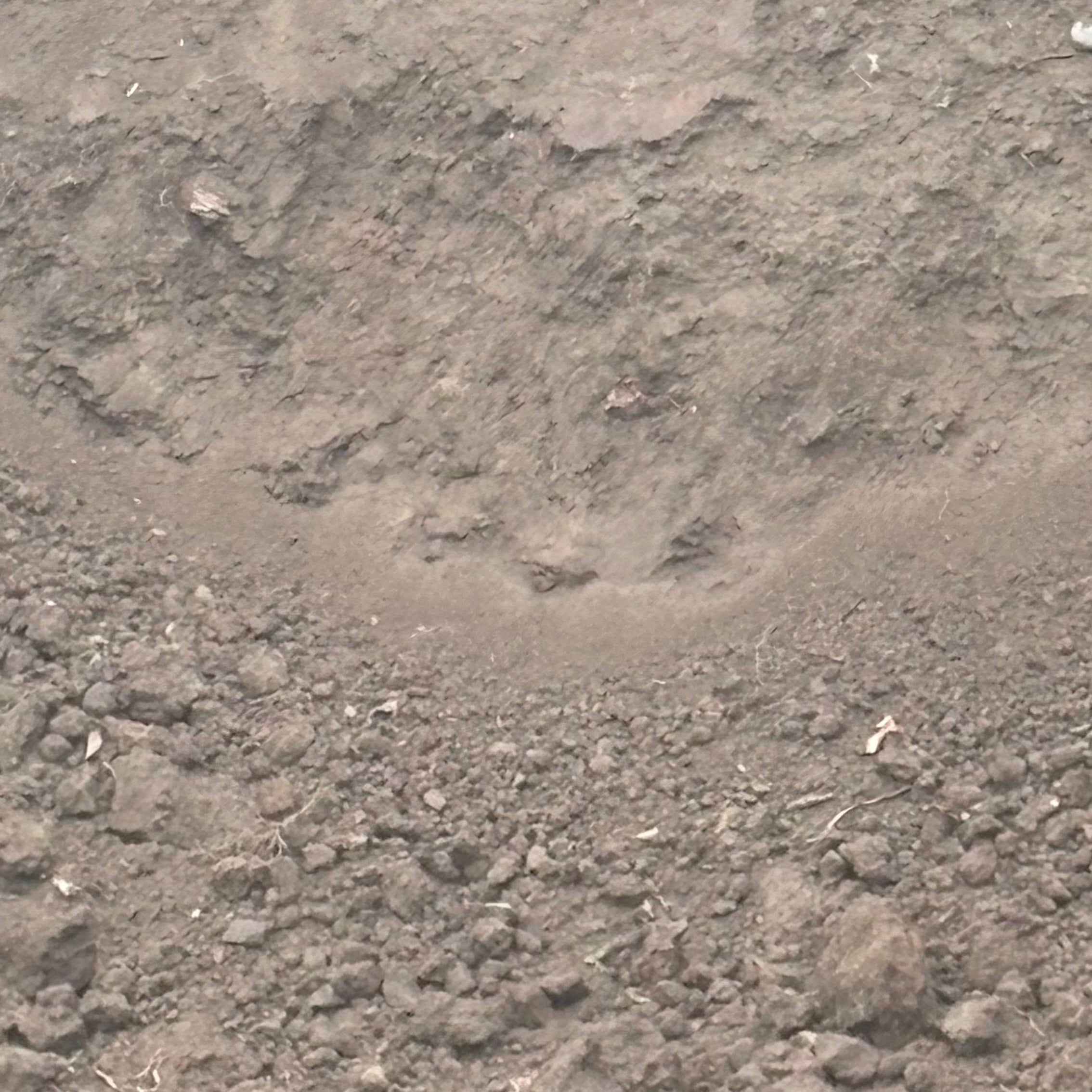 Top Soil – Unscreened